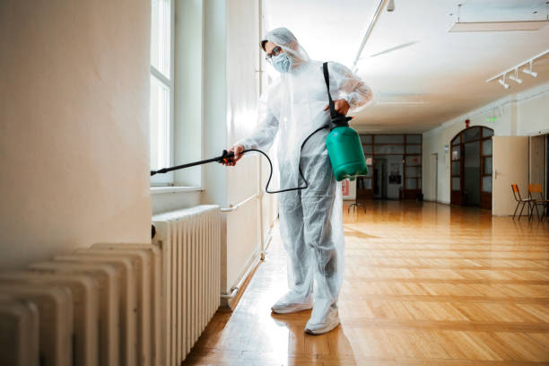 Best Pest Prevention Services  in Belle Chasse, LA